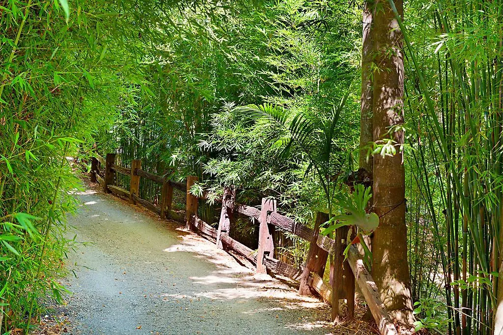 Escarpment Retreat & Day Spa For Couples Mount Tamborine 5*,