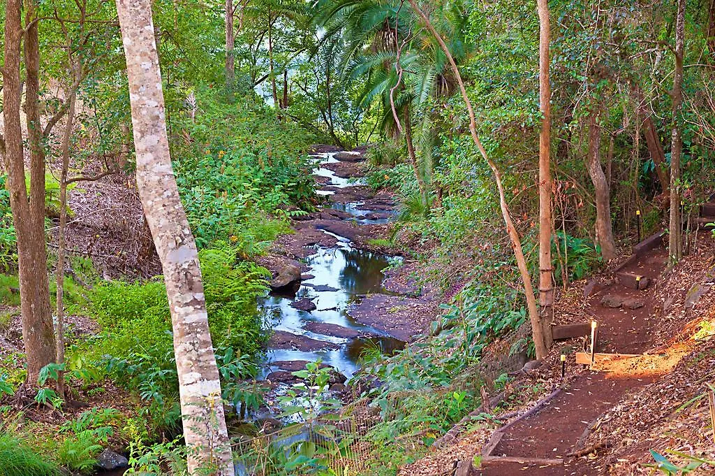 Bed & Breakfast Escarpment Retreat & Day Spa For Couples Mount Tamborine