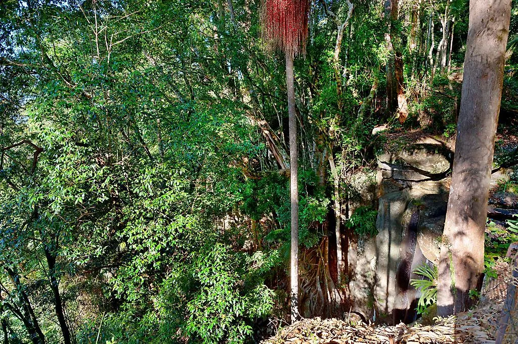 ***** Bed & Breakfast Escarpment Retreat & Day Spa For Couples Mount Tamborine Australia