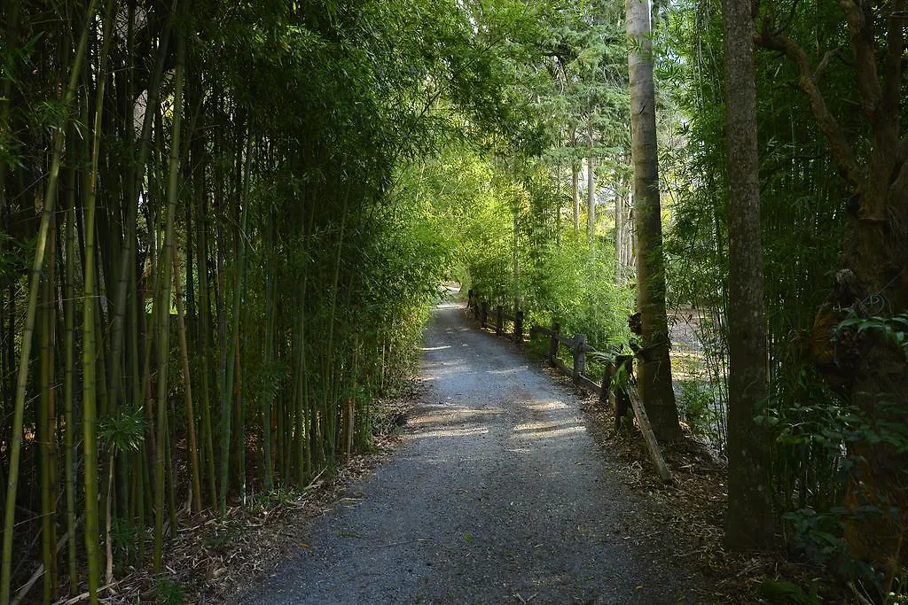 Bed & Breakfast Escarpment Retreat & Day Spa For Couples Mount Tamborine