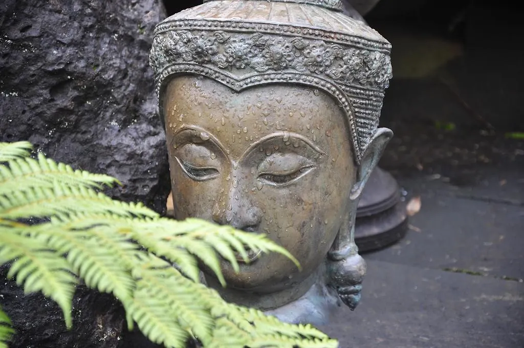Escarpment Retreat & Day Spa For Couples Mount Tamborine Bed & Breakfast